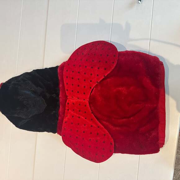 Costumes - Picture 3 of 3